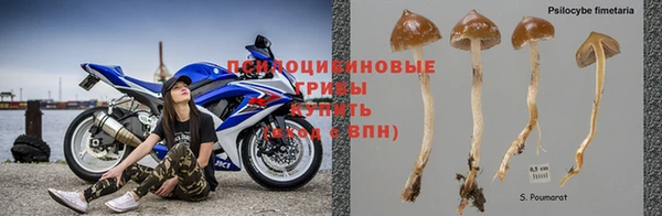 амф Сатка