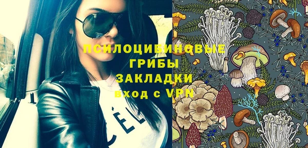 бошки Саяногорск