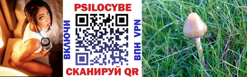 Галлюциногенные грибы Psilocybine cubensis  Сельцо 